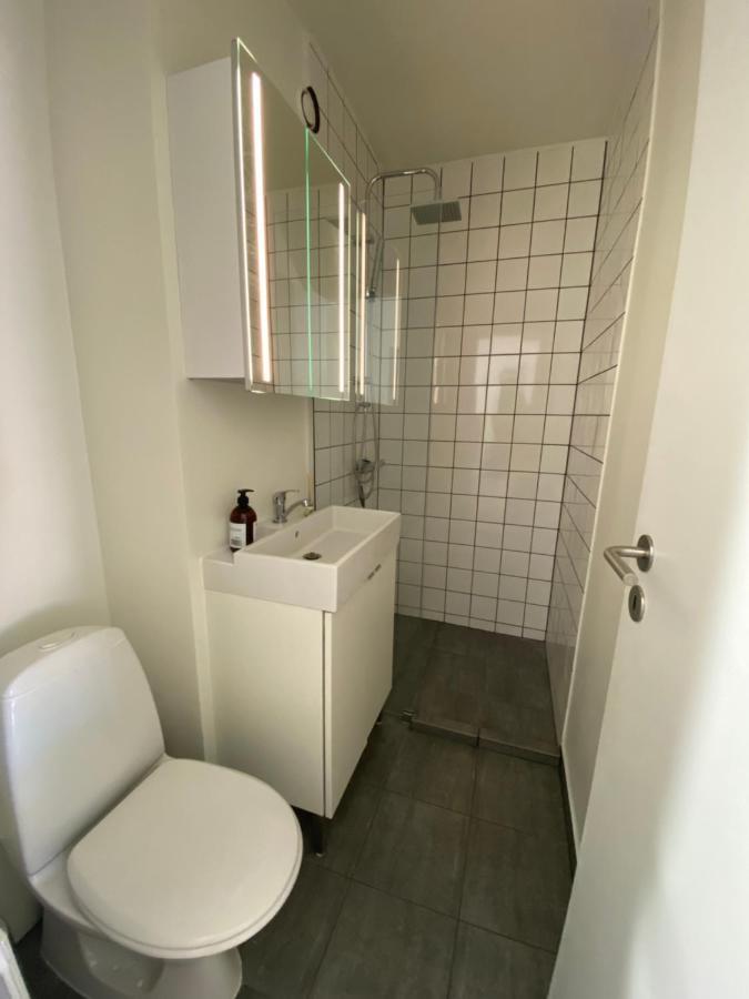 Central Copenhagen Apt With Balcony, Free Parking W Elevator ภายนอก รูปภาพ